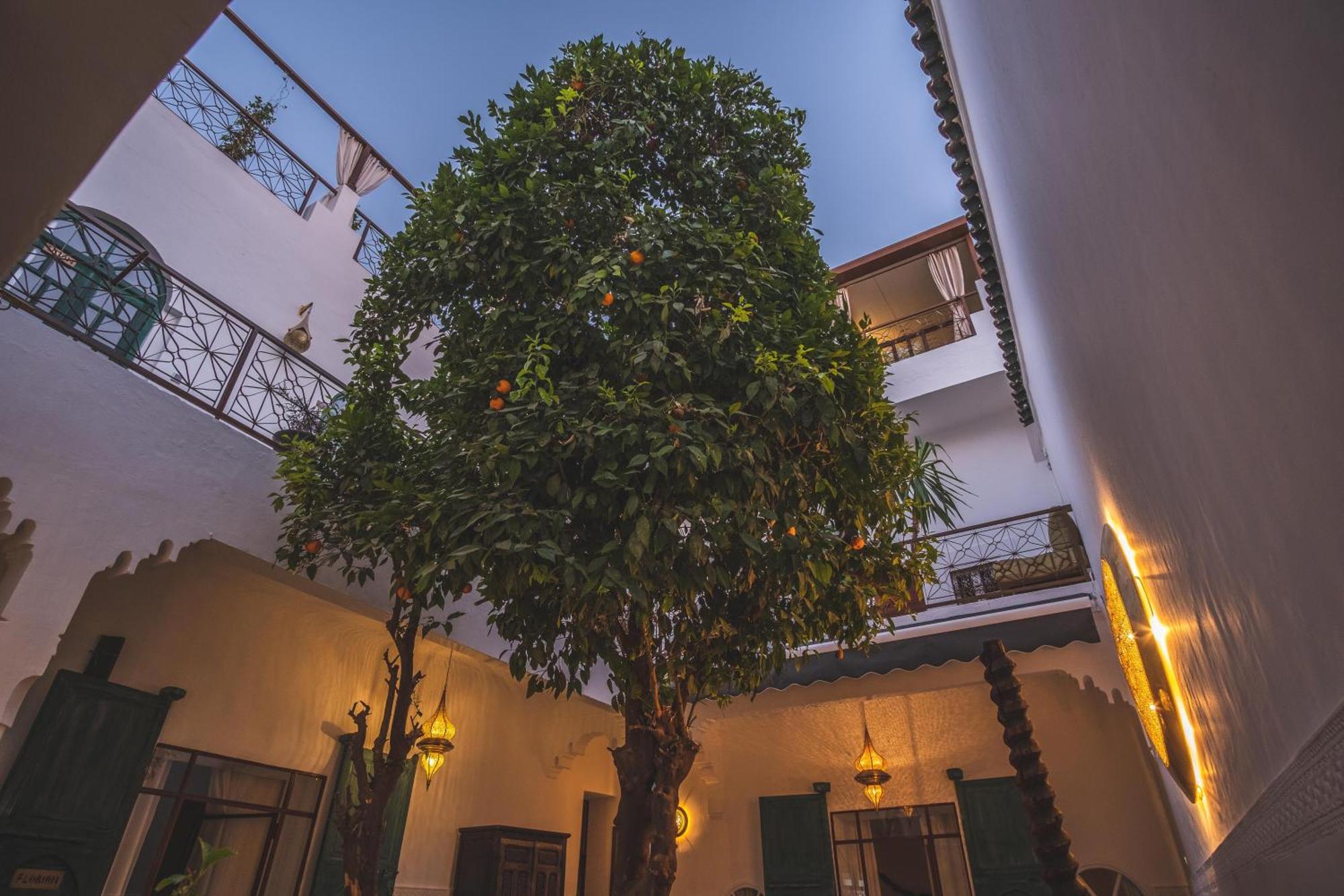 Riad Villa Berna Under Swiss Management Marrakesh Eksteriør billede